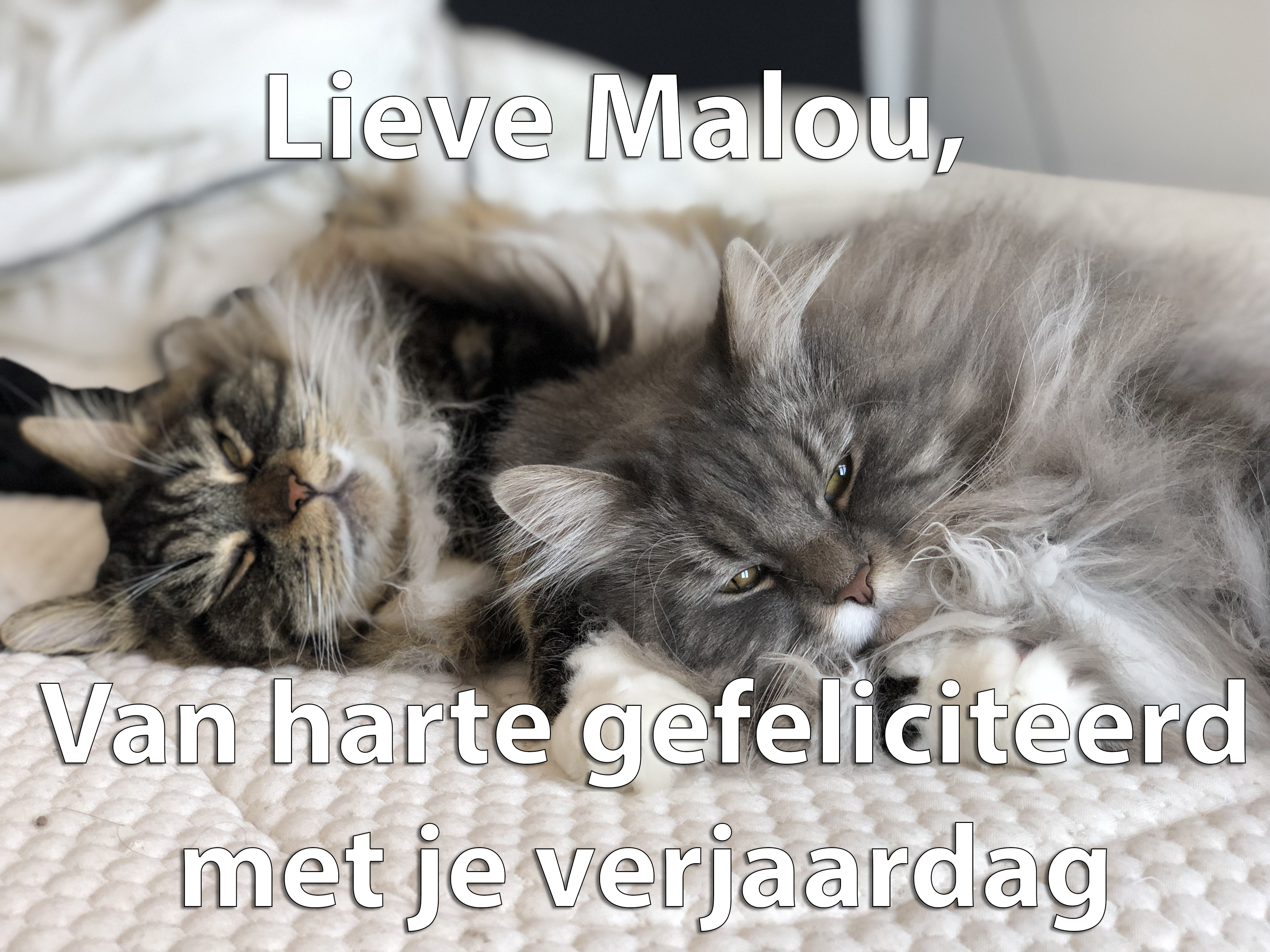 26 december 1991__26-12-1991___26_12_1991___26-december-1991.jpg